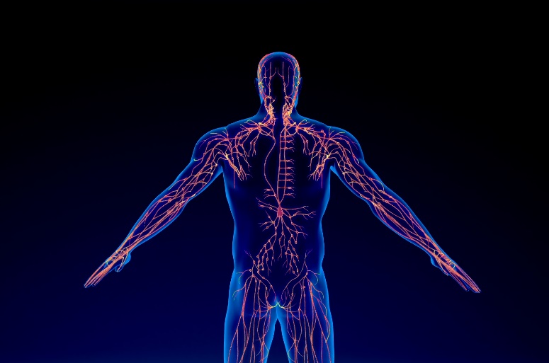 Neurogenic Tremors nervous system