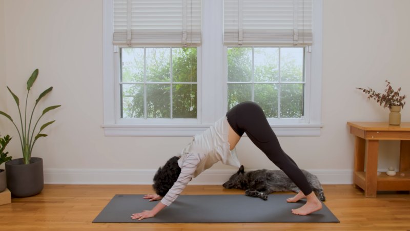 woman is engaged yoga